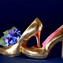 FFC Ketsch Walter Benesch 03